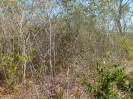 MA_572_F3_pan