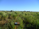 MA_575_F3_pan