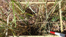 MA_579_F9_3_10