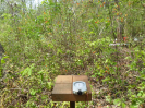 MA_584_F3_pan