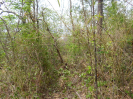 MA_584_F5_1