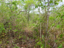MA_584_F5_2