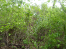 MA_584_F5_3