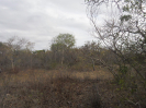 MA_604_F3_pan