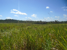 MA_61_F3_pan