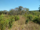MA_624_F3_pan