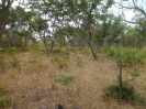 MA_625_F3_pan