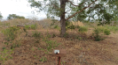 MA_626_F3_pan