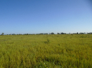 MA_62_F3_pan