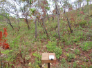 MA_636_F3_pan