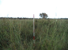 MA_63_F3_pan