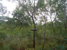 MA_640_F3_pan