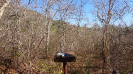MA_644_F3_pan