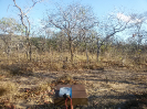 MA_652_F3_pan