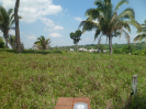 MA_658_F3_pan