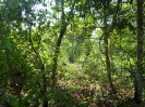 MA_660_F5_4