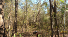 MA_671_F3_pan