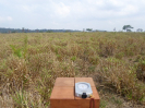 MA_681_F3_pan