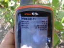 MA_683_F3_gps