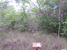 MA_704_F3_pan
