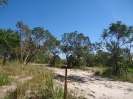 MA_719_F3_pan