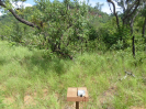 MA_721_F3_pan