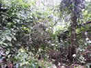 MA_722_F5_1