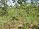 MA_725_F3_pan