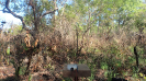 MA_727_F3_pan