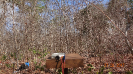 MA_733_F3_pan