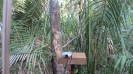 MA_742_F3_pan