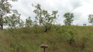 MA_746_F3_pan