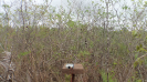 MA_756_F3_pan