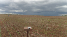 MA_759_F3_pan