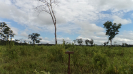 MA_764_F3_pan