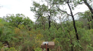 MA_770_F3_pan