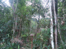 MA_772_F5_3