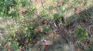 MA_773_F3_pan