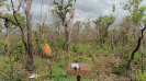 MA_774_F3_pan
