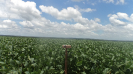 MA_789_F3_pan