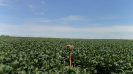MA_794_F3_pan