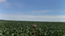 MA_794_F5_1