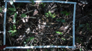 MA_803_F9_4_2