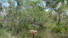 MA_804_F3_pan