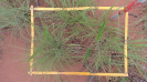MA_805_F9_4_2