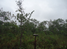 MA_806_F3_pan
