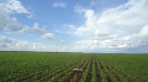 MA_815_F3_pan