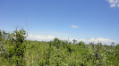 MA_825_F3_pan