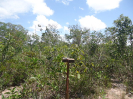 MA_828_F3_pan