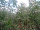 MA_833_F3_pan